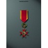 Ordinanza S.Gregorio Cavaliere