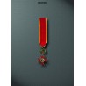 Miniatura S.Gregorio Cavaliere