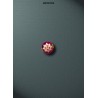 Rosetta S.Gregorio Grande Ufficiale