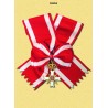 Ordinanza con Fascia MM Militare
