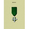Ordinanza Cavaliere SML