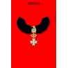 Ordinanza Cav. Onore e Devozione